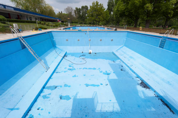 Best Flood restoration services  in Smith Valley, NV