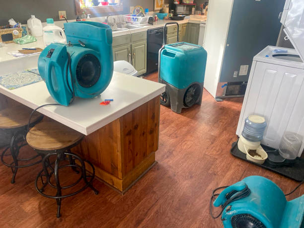Best Professional water damage repair  in Smith Valley, NV