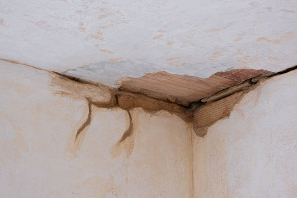 Best Flood restoration services  in Smith Valley, NV