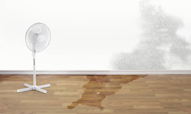  Smith Valley, NV Water damage restoration Pros