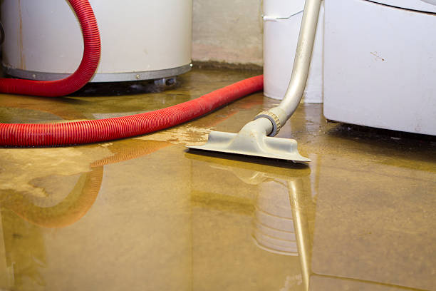 Best Sewage cleanup and water damage restoration  in Smith Valley, NV