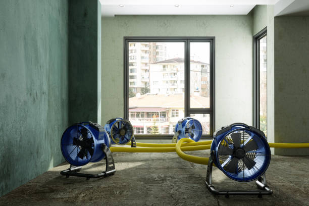 Best Ceiling water damage repair  in Smith Valley, NV