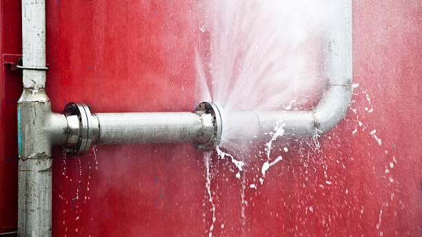 Best Water damage restoration near me  in Smith Valley, NV